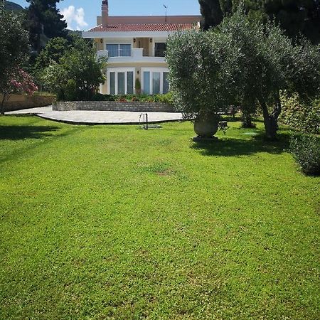 Villa Vasiliki PalaiónTsiflíkion Eksteriør billede