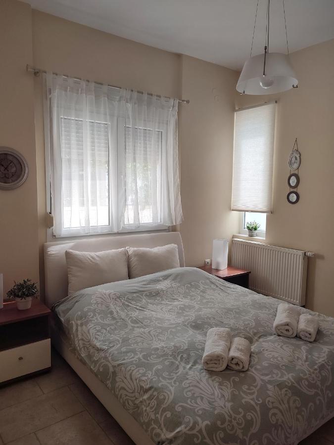 Villa Vasiliki PalaiónTsiflíkion Eksteriør billede
